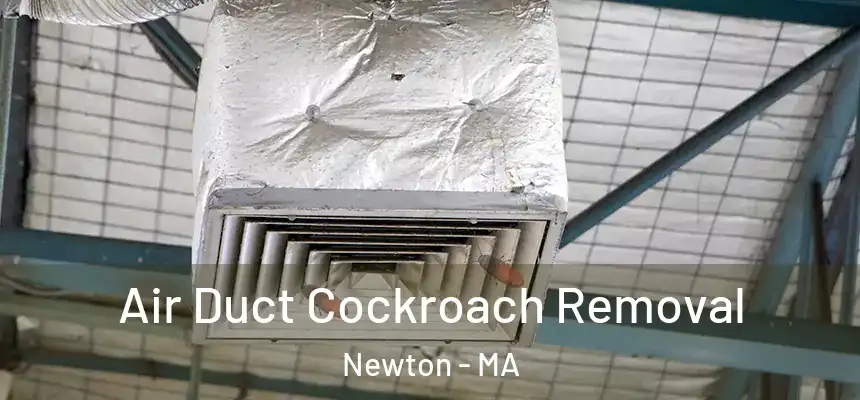  Air Duct Cockroach Removal Newton - MA