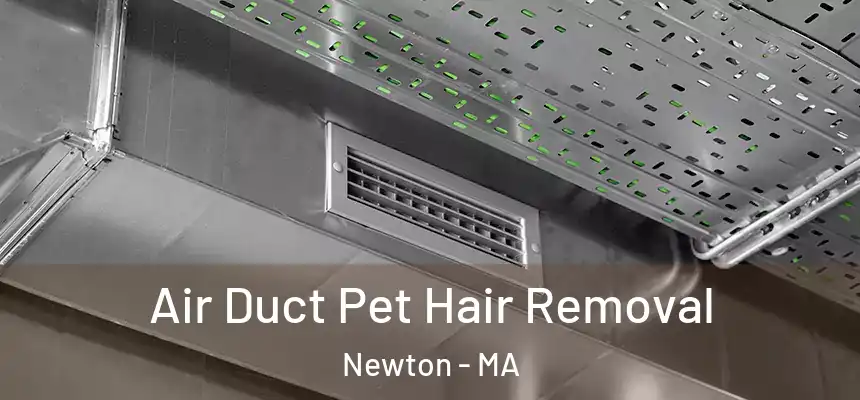  Air Duct Pet Hair Removal Newton - MA
