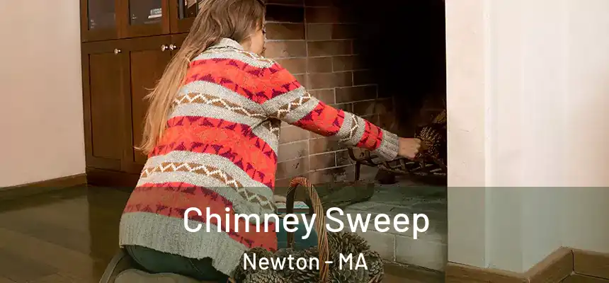  Chimney Sweep Newton - MA