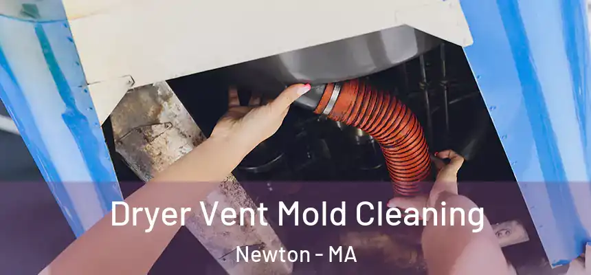 Dryer Vent Mold Cleaning Newton - MA