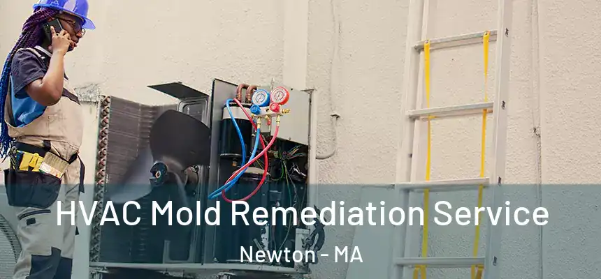 HVAC Mold Remediation Service Newton - MA