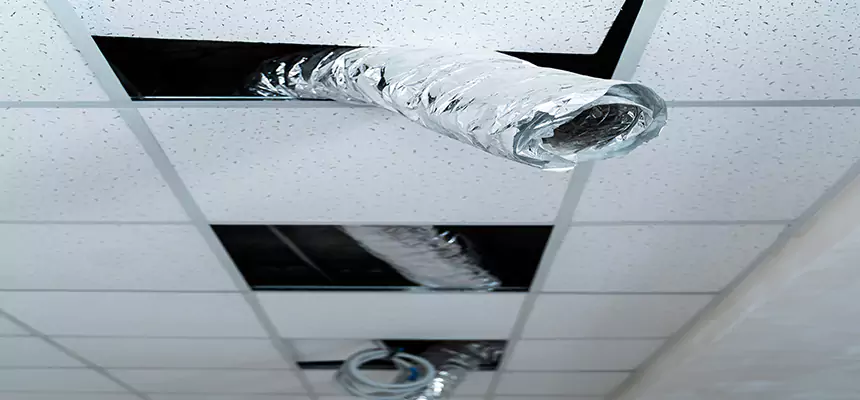 Affordable HVAC Sanitizing After Pest Removal in Newton