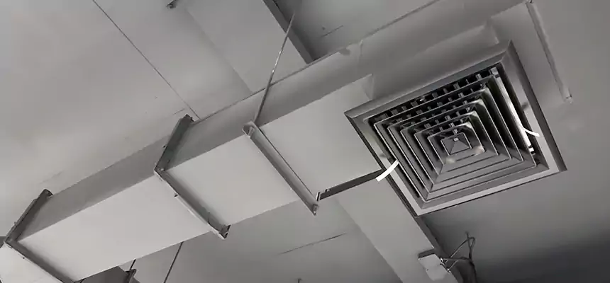 Our Rodent Droppings In Vents Services in Newton, MA