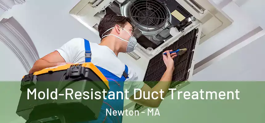  Mold-Resistant Duct Treatment Newton - MA