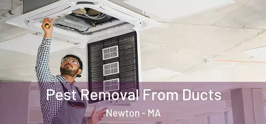 Pest Removal From Ducts Newton - MA