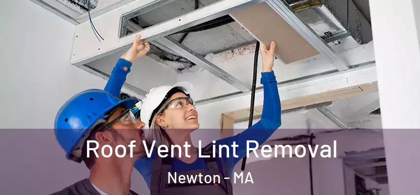  Roof Vent Lint Removal Newton - MA