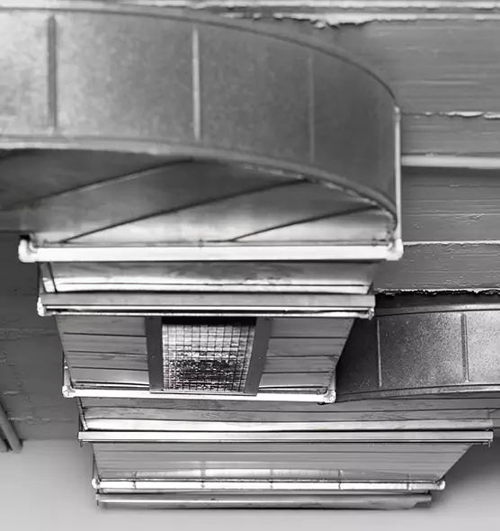 Professional Air Duct Pet Hair Removal in Newton, MA