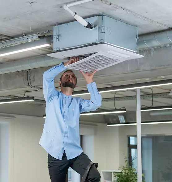 Advanced Rodent Droppings In Vents in Newton, MA