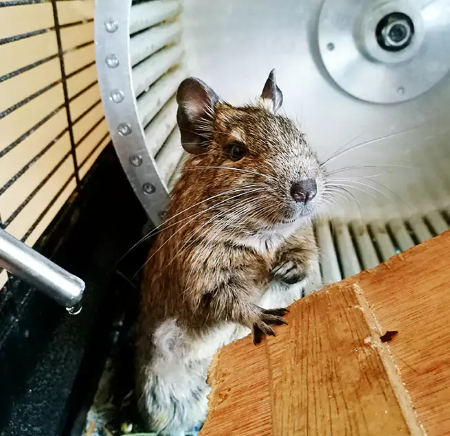 Why Homeowners & Businesses Trust Us Newton, MA