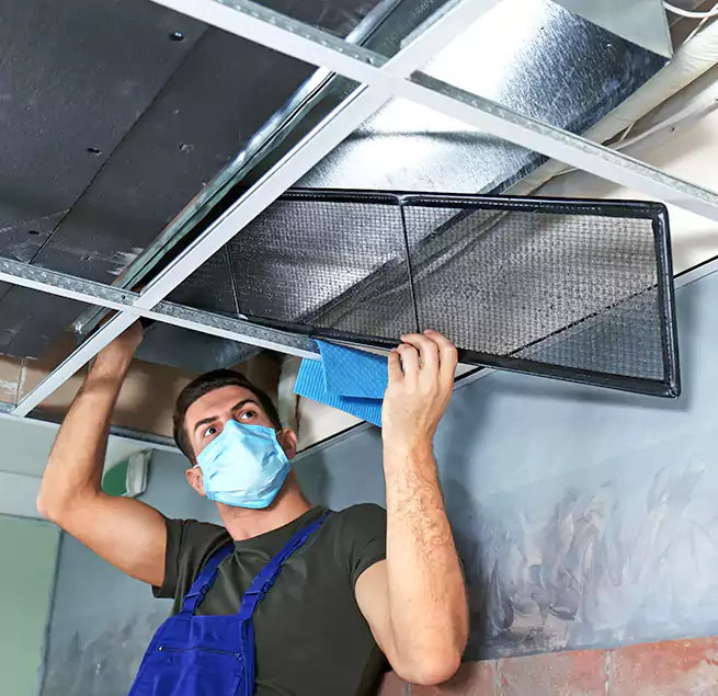 Why Homeowners Businesses Trust Us in Newton, MA