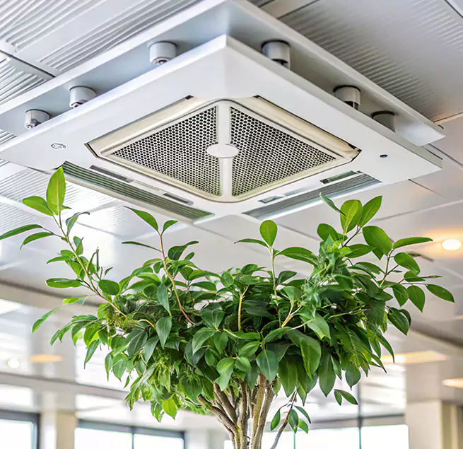 Why Homeowners & Businesses Trust Us in Newton, MA