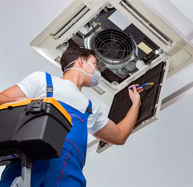 Why Homeowners & Businesses Trust Us in Newton, MA?