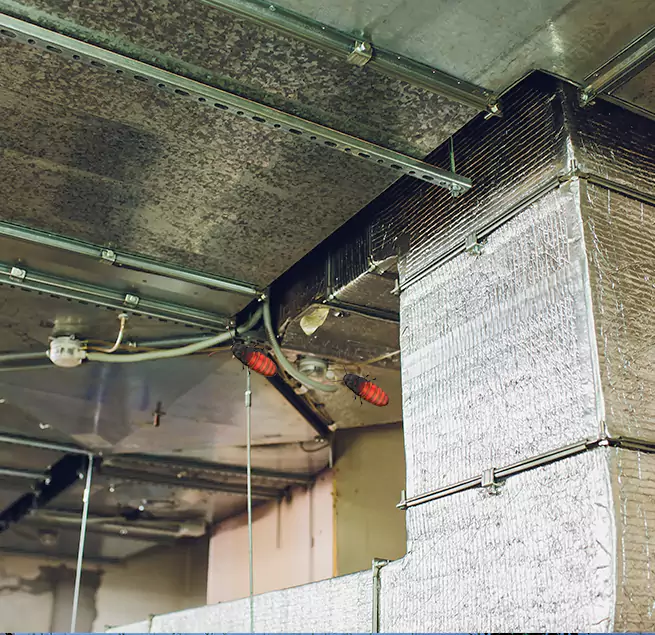 Why Homeowners & Businesses Trust Us Newton, MA?