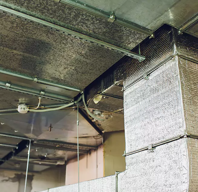 Why Homeowners & Businesses Trust Us in Newton, MA?